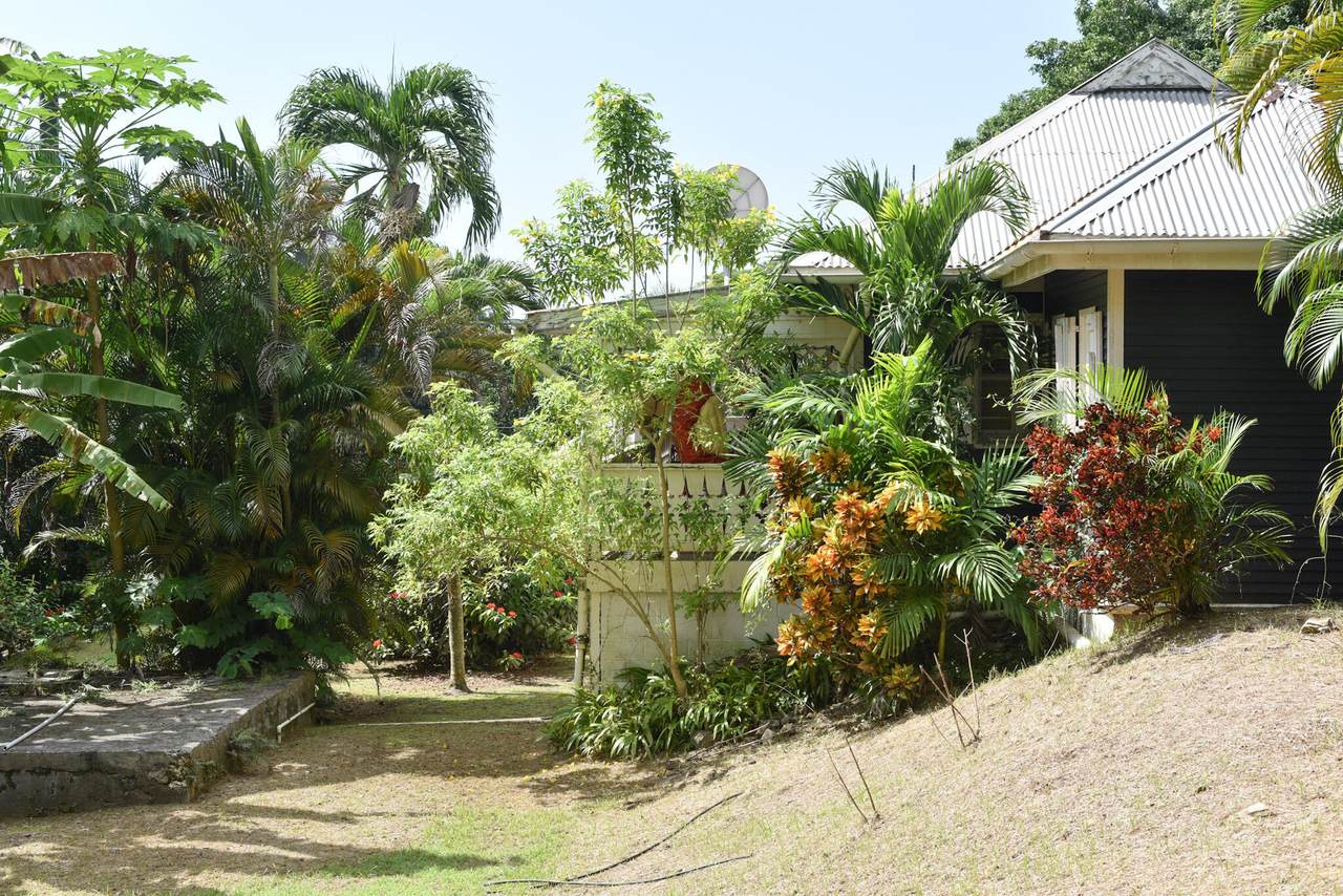 https://bt-photos.global.ssl.fastly.net/stthomas/1280_boomver_1_26-1740-2.jpg