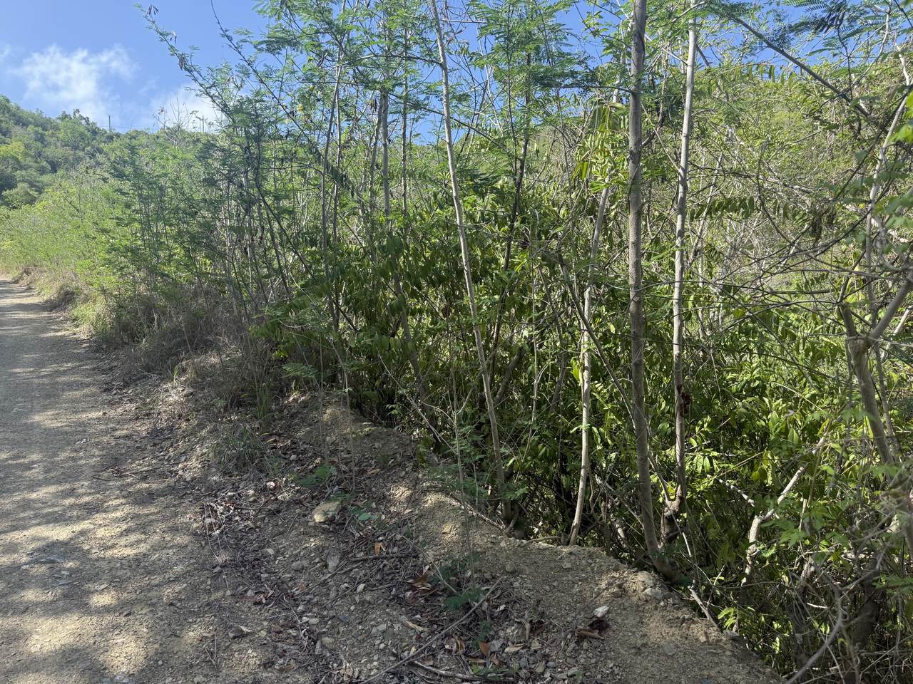 https://bt-photos.global.ssl.fastly.net/stthomas/1280_boomver_1_26-1806-2.jpg