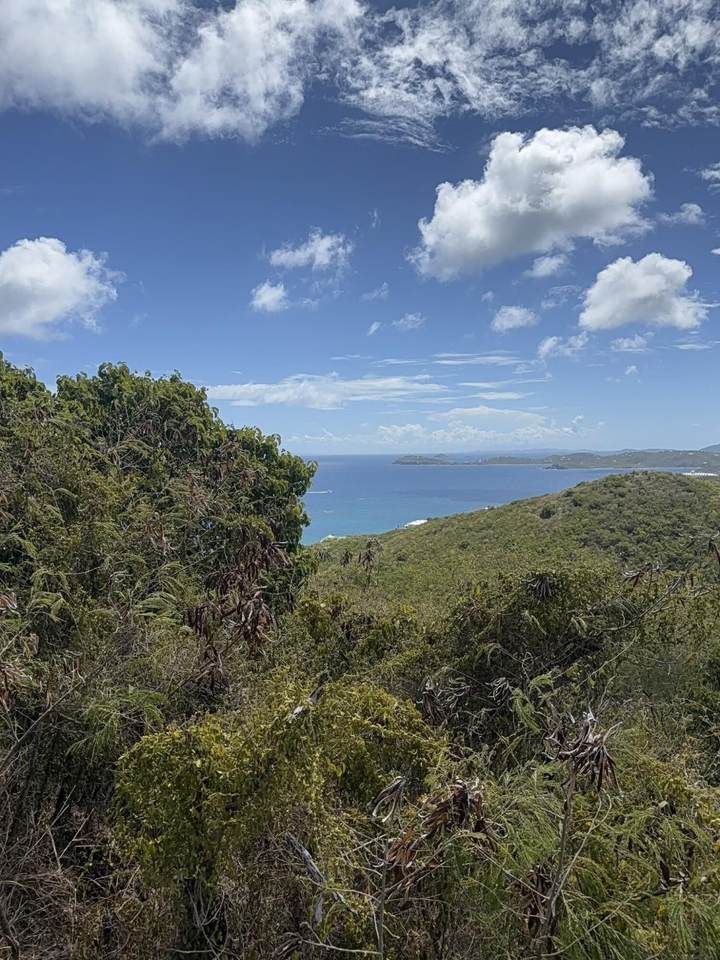 https://bt-photos.global.ssl.fastly.net/stthomas/1280_boomver_1_26-1856-2.jpg