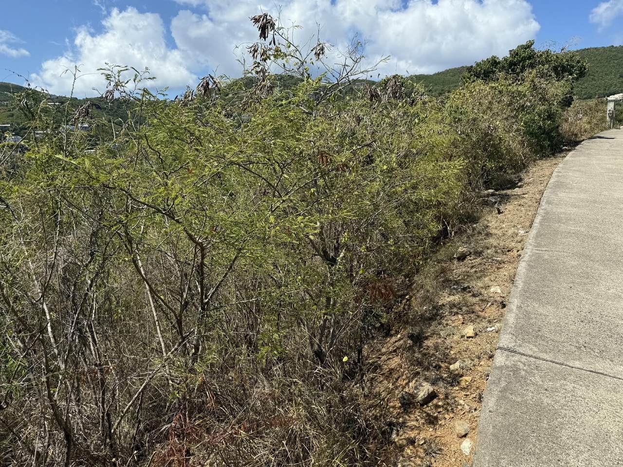 https://bt-photos.global.ssl.fastly.net/stthomas/1280_boomver_1_26-1856-2.jpg