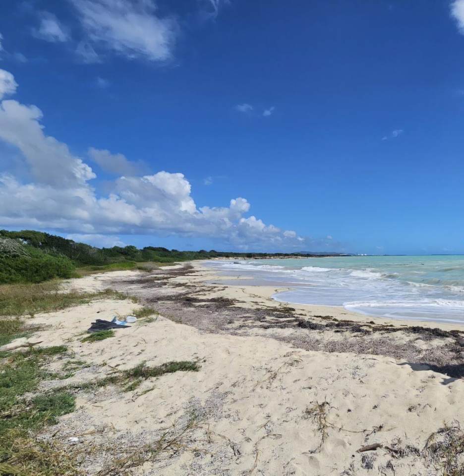 https://bt-photos.global.ssl.fastly.net/stthomas/orig_boomver_1_26-1876-2.jpg