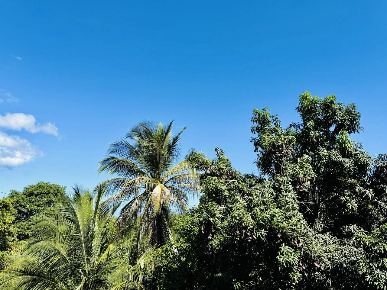 https://bt-photos.global.ssl.fastly.net/stthomas/1280_boomver_1_26-1884-2.jpg