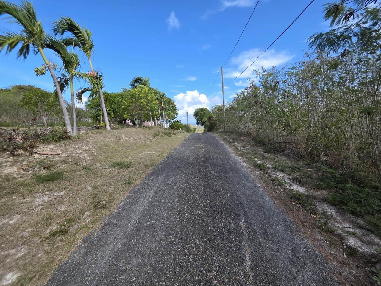 174 Morningstar Qu - Photo 1