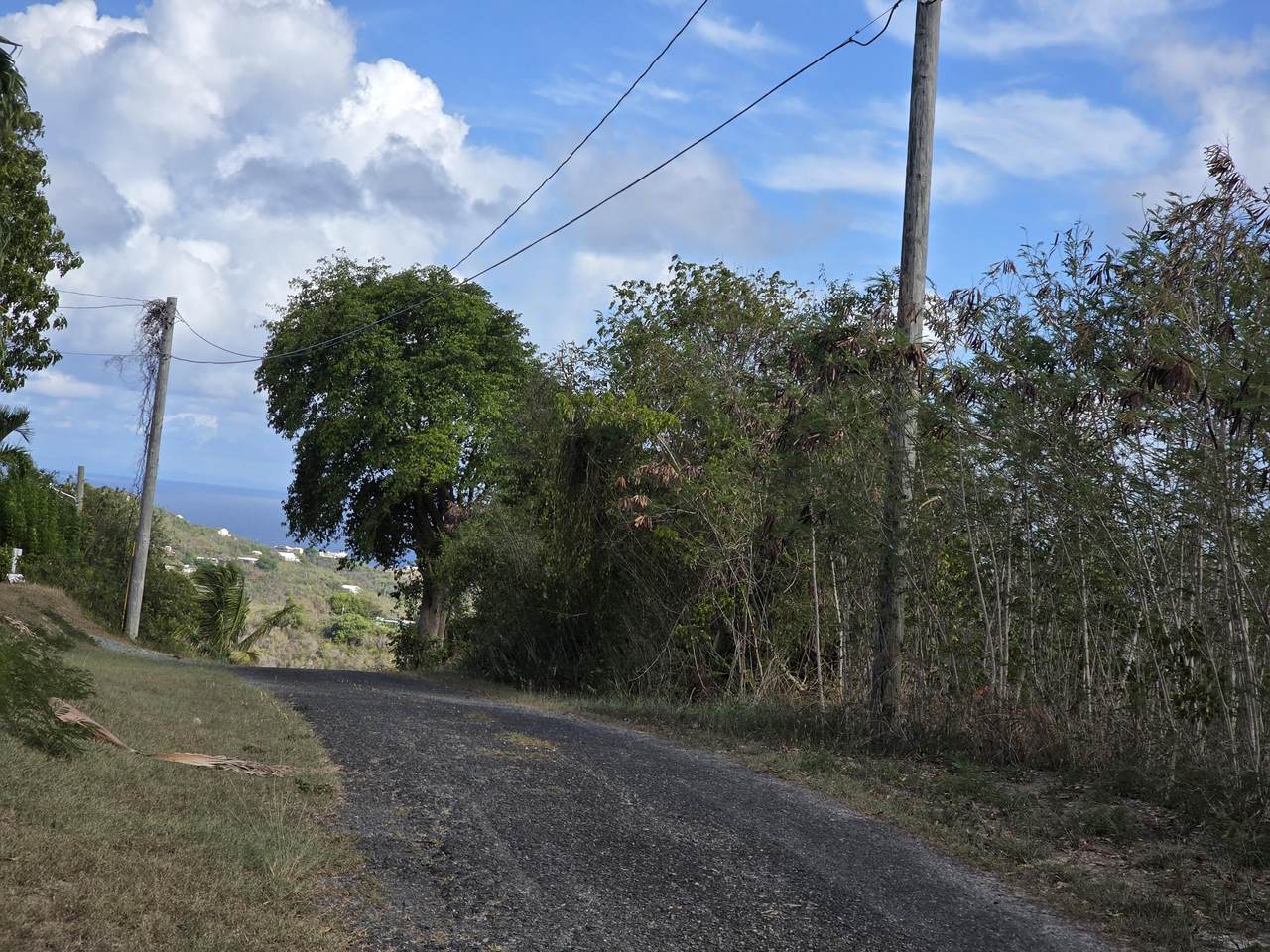https://bt-photos.global.ssl.fastly.net/stthomas/1280_boomver_1_26-1905-2.jpg