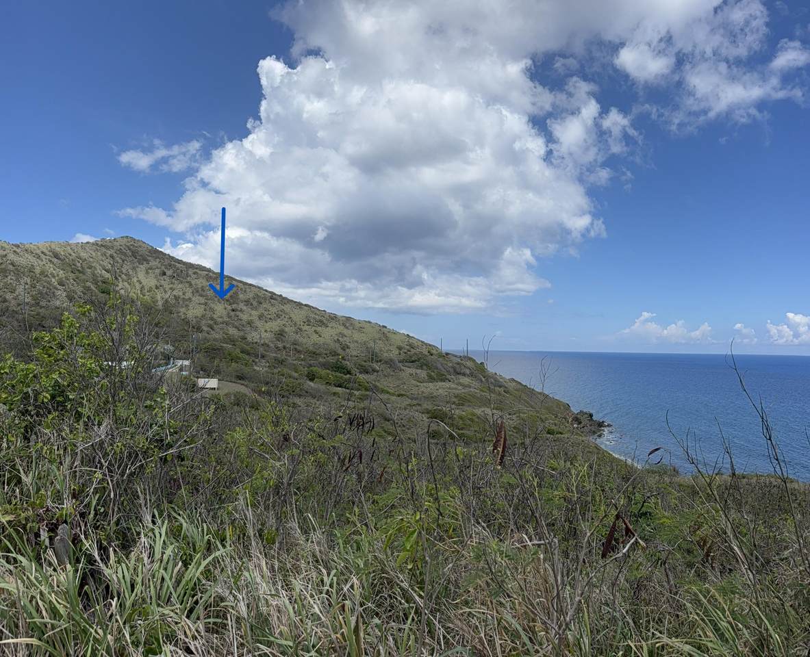 https://bt-photos.global.ssl.fastly.net/stthomas/1280_boomver_1_26-1907-2.jpg