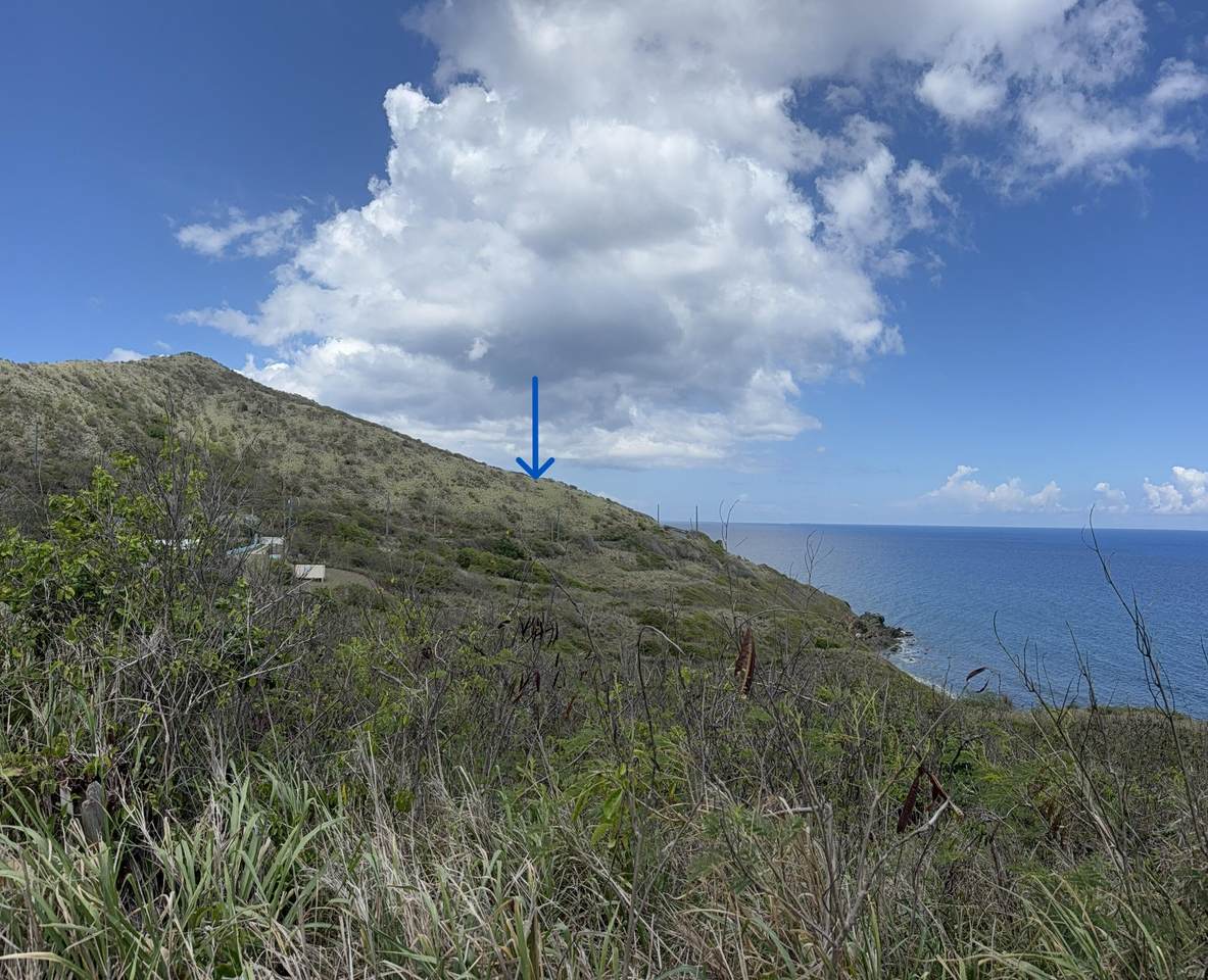 https://bt-photos.global.ssl.fastly.net/stthomas/1280_boomver_1_26-1908-2.jpg