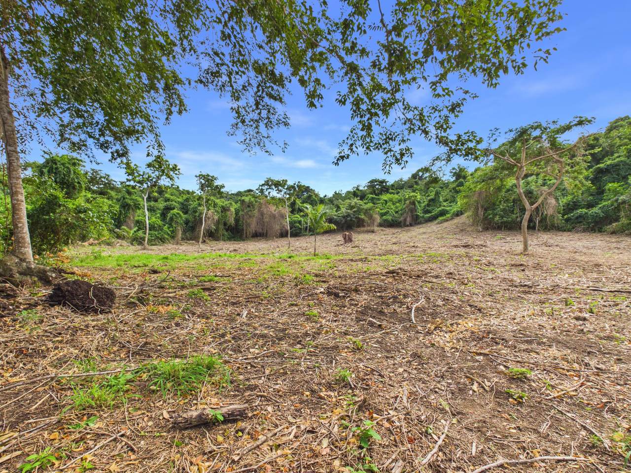 9-H Montpellier Pr - Photo 1