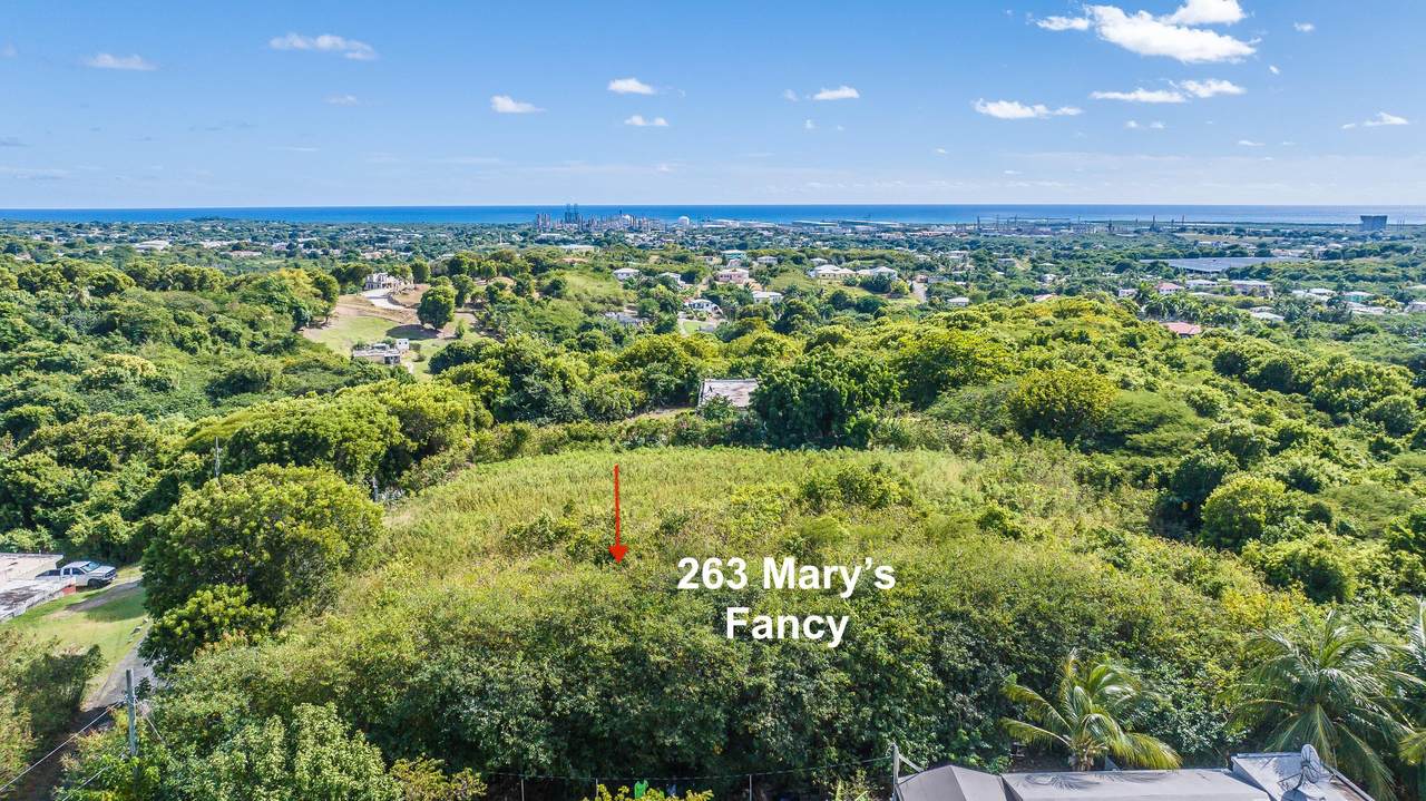 263 Mary's Fancy Qu - Photo 1