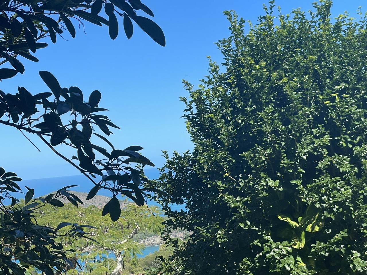 61-B Caret Bay Lns - Photo 1