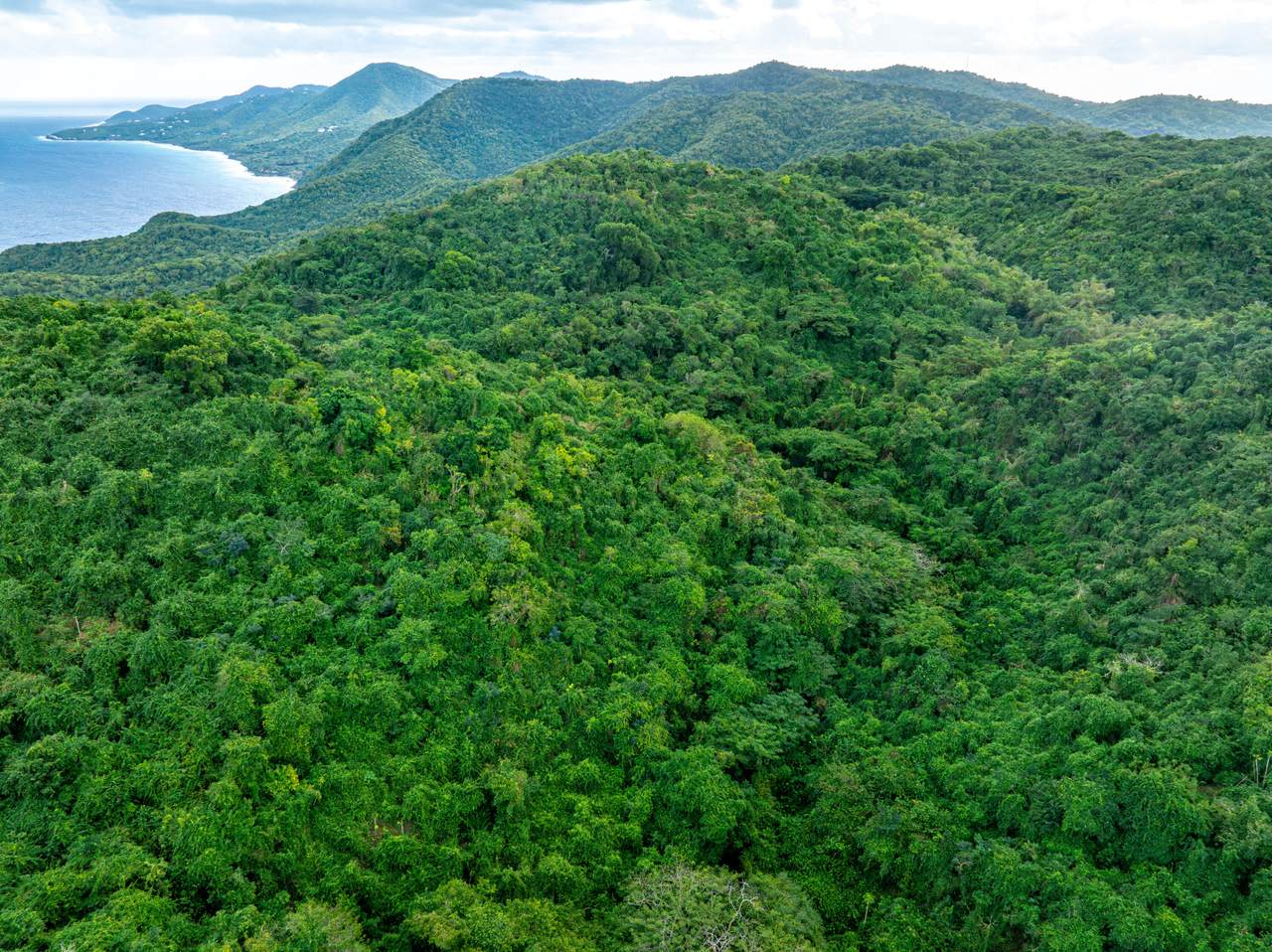 1A Spring Garden Na - Photo 1