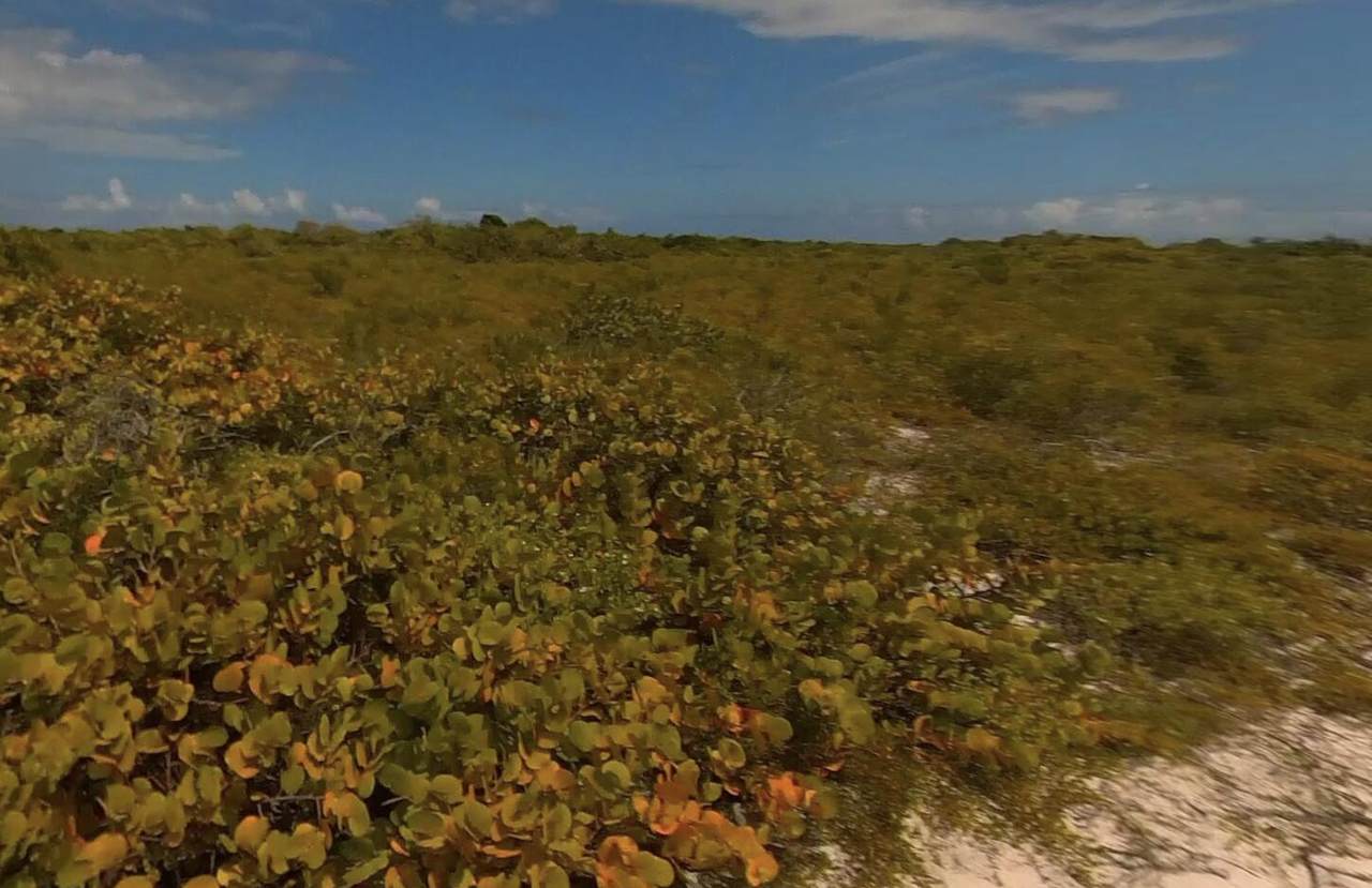 178 West End Bvi - Photo 1