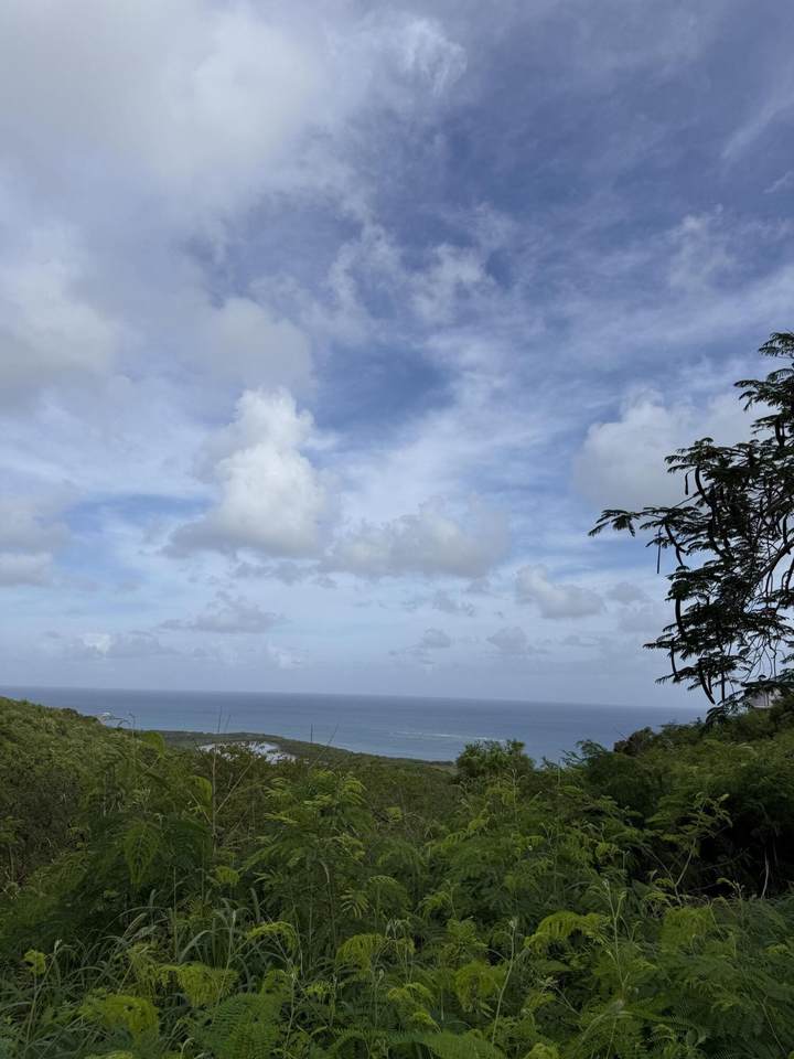 55 Solitude Eb - Photo 1