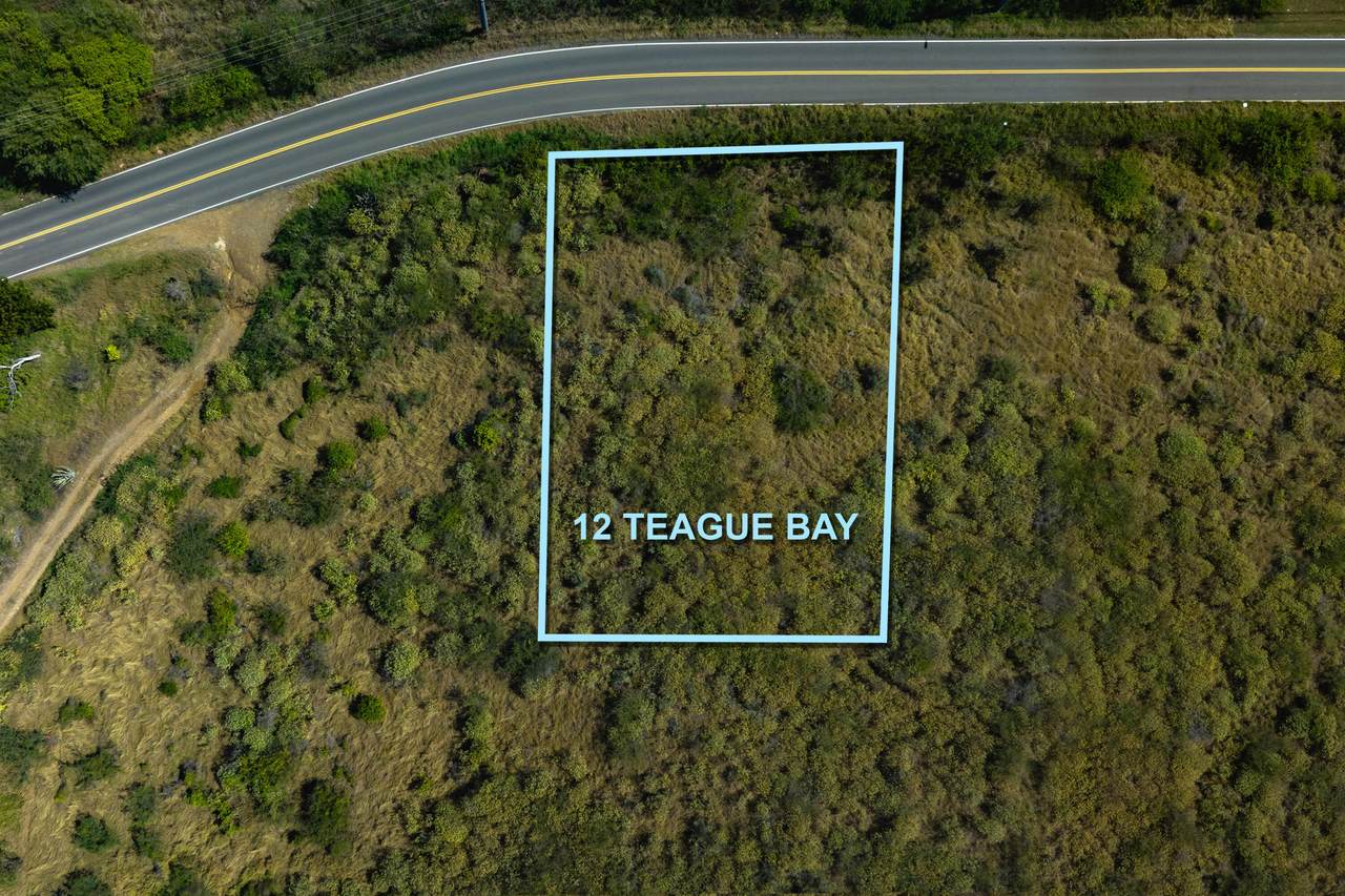 12 Teagues Bay Eb - Photo 1