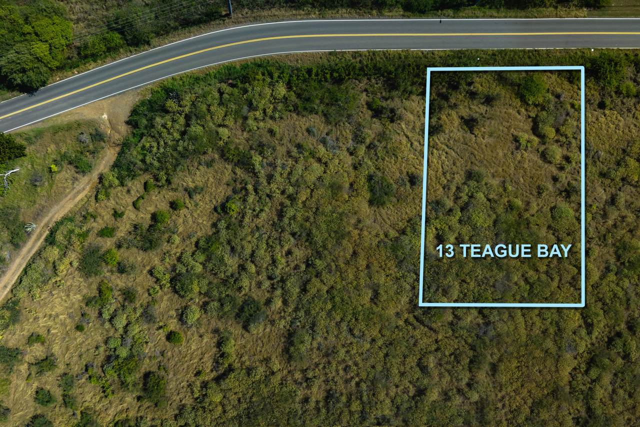 13 Teagues Bay Eb - Photo 1