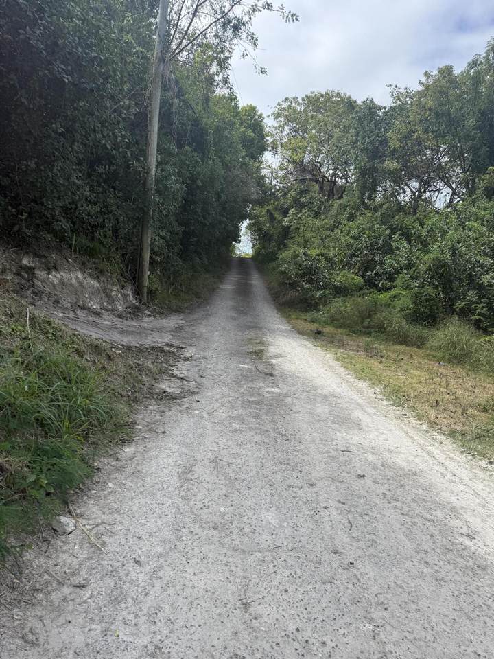 https://bt-photos.global.ssl.fastly.net/stthomas/1280_boomver_1_26-448-2.jpg
