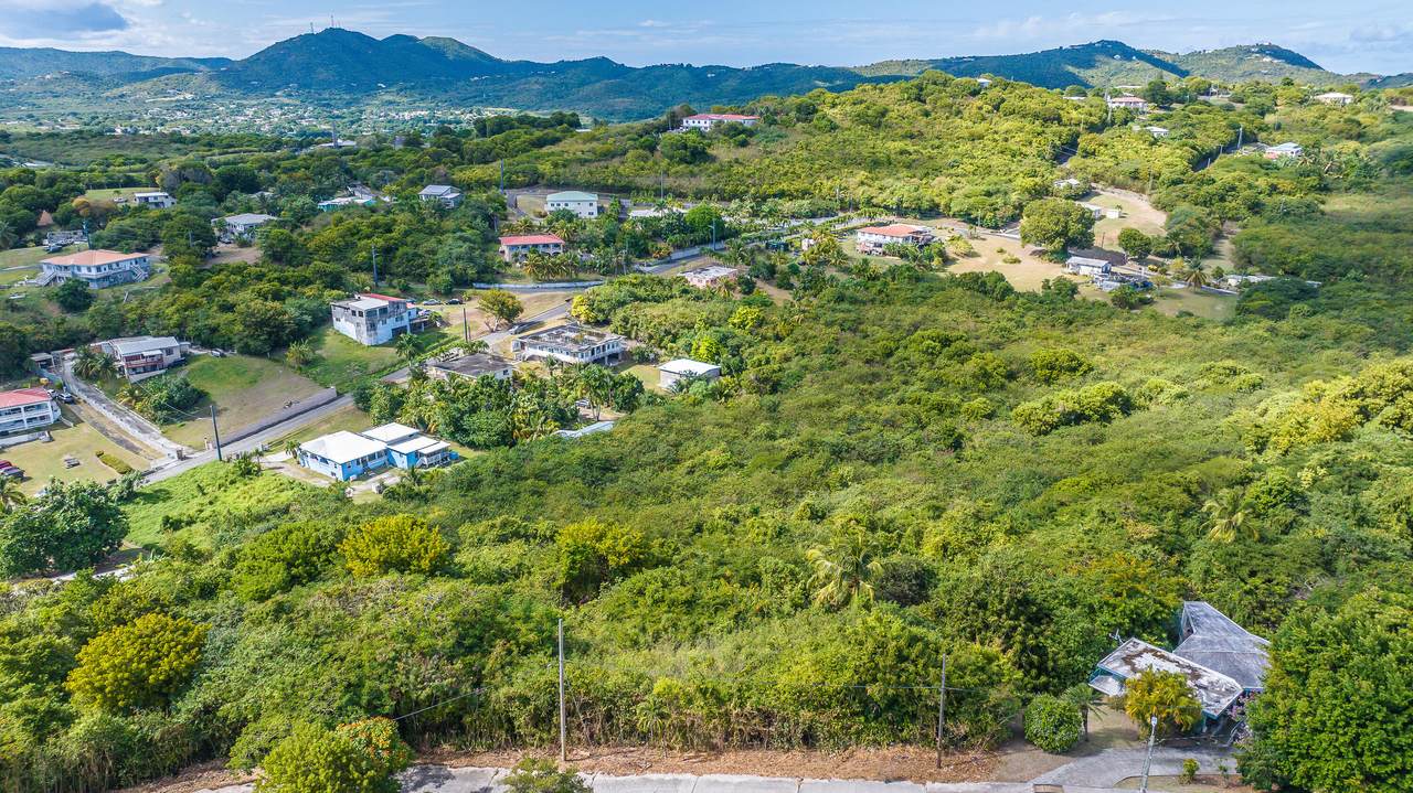 42 Mary's Fancy Qu - Photo 1