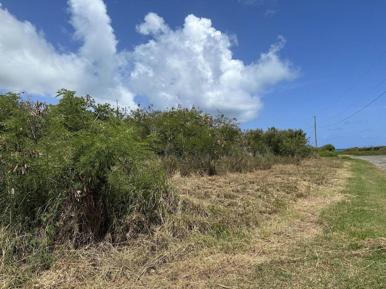 https://bt-photos.global.ssl.fastly.net/stthomas/orig_boomver_1_26-533-2.jpg
