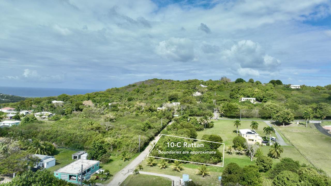 10-C Rattan Qu - Photo 1