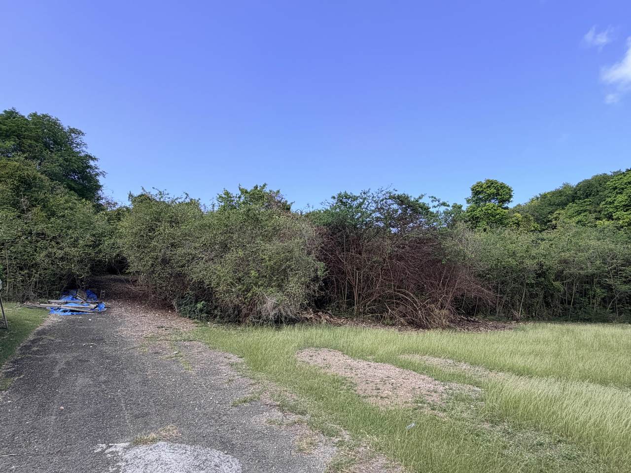 7-F Rattan Qu - Photo 1