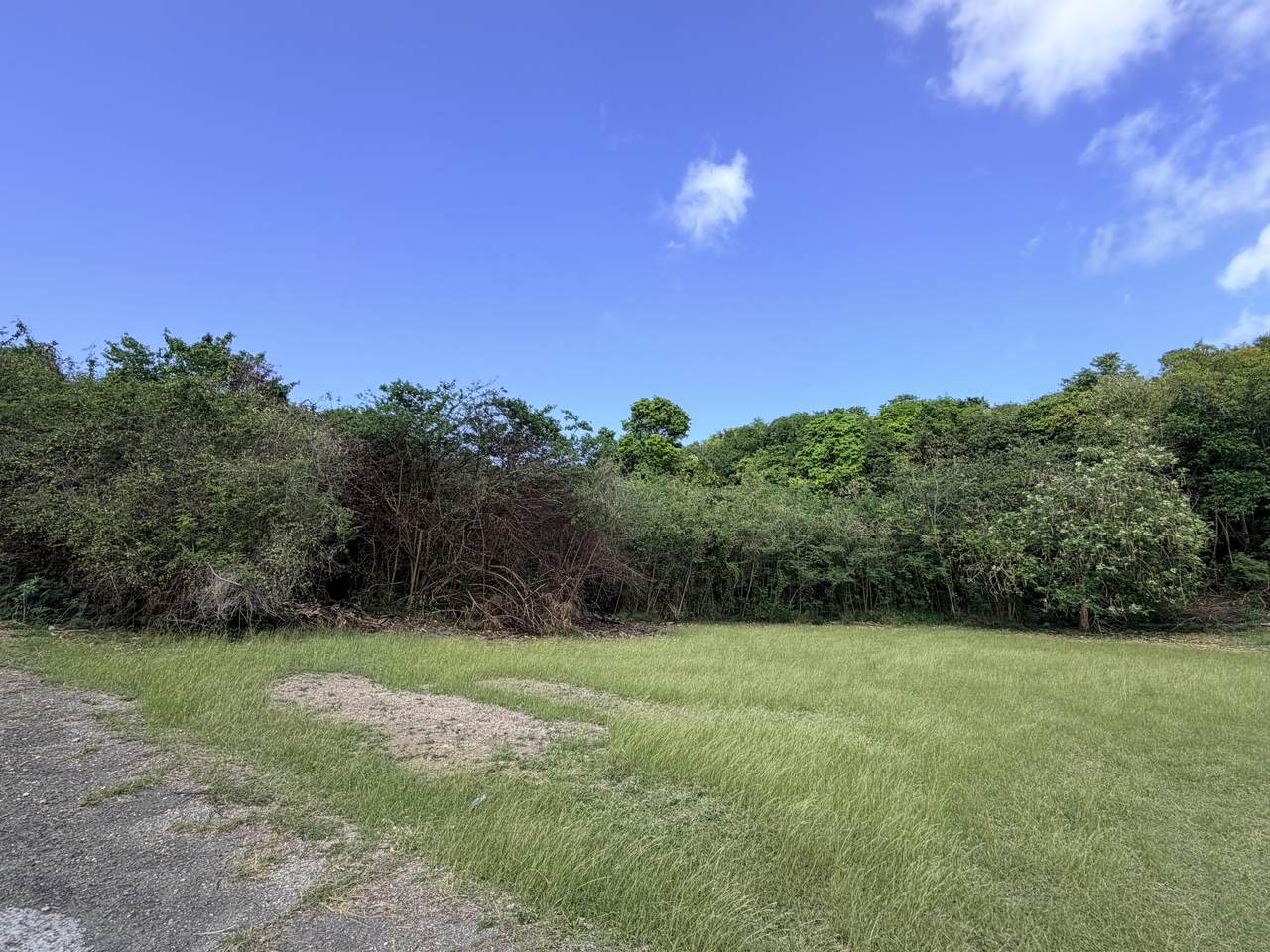 https://bt-photos.global.ssl.fastly.net/stthomas/1280_boomver_1_26-570-2.jpg