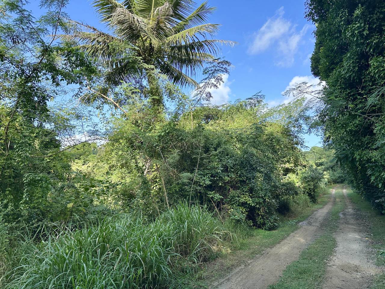 https://bt-photos.global.ssl.fastly.net/stthomas/1280_boomver_1_26-58-2.jpg
