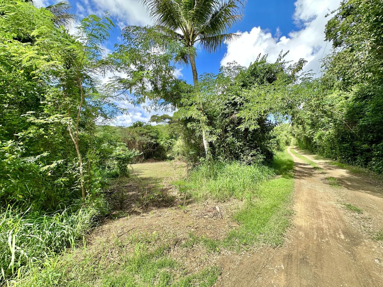 https://bt-photos.global.ssl.fastly.net/stthomas/1280_boomver_1_26-58-2.jpg
