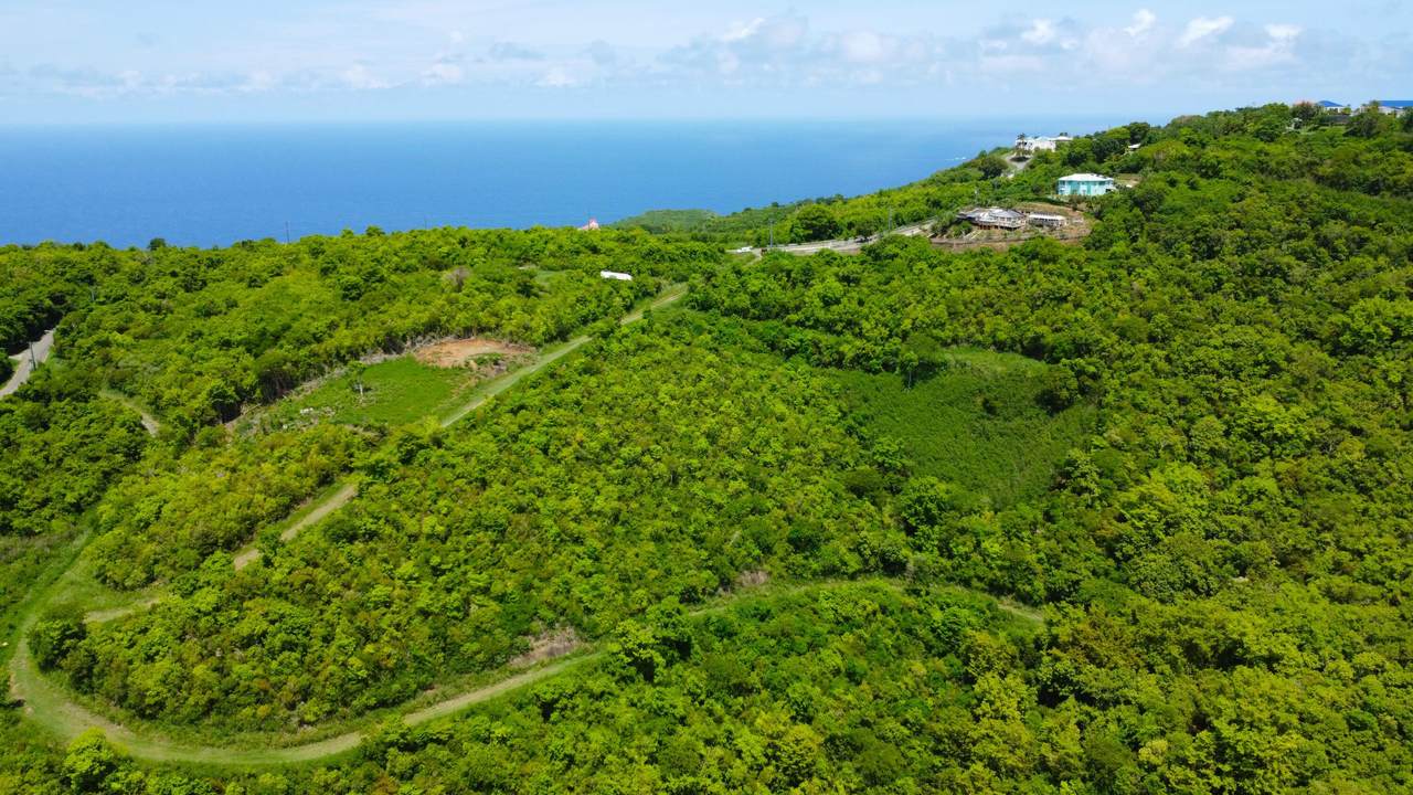 https://bt-photos.global.ssl.fastly.net/stthomas/1280_boomver_1_26-600-2.jpg
