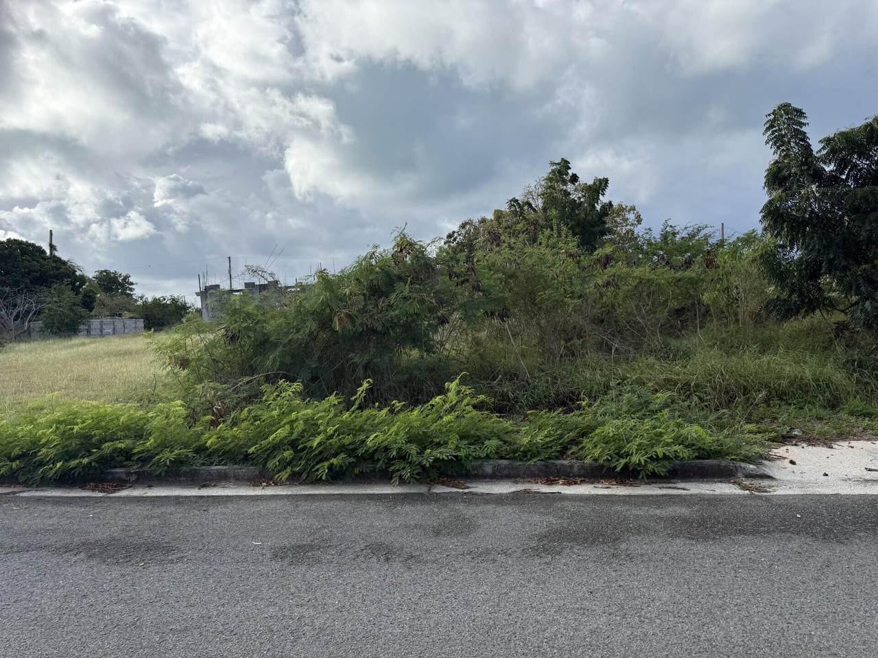 https://bt-photos.global.ssl.fastly.net/stthomas/1280_boomver_1_26-618-2.jpg