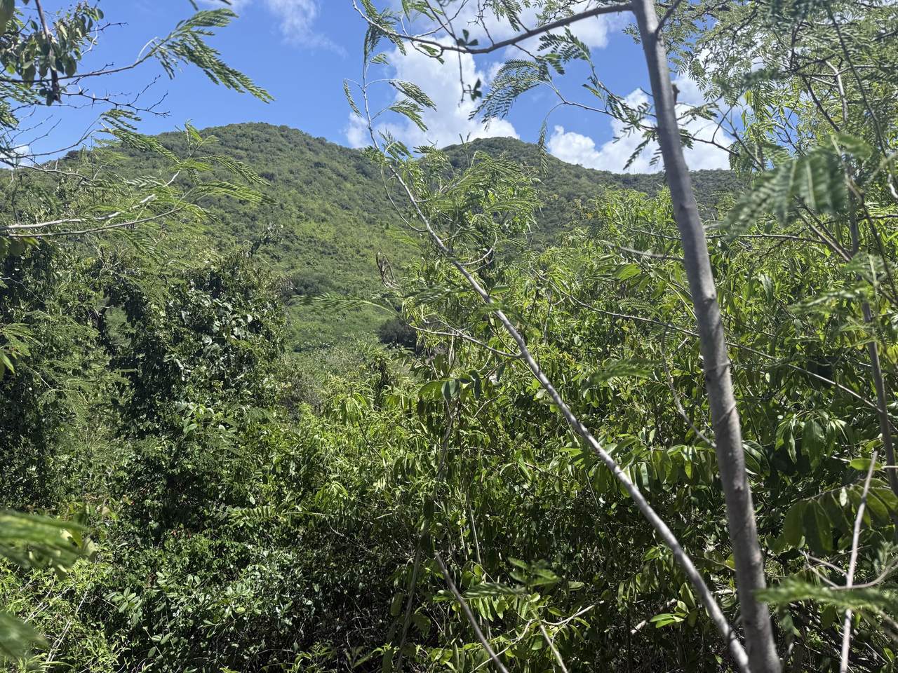 https://bt-photos.global.ssl.fastly.net/stthomas/1280_boomver_1_26-622-2.jpg