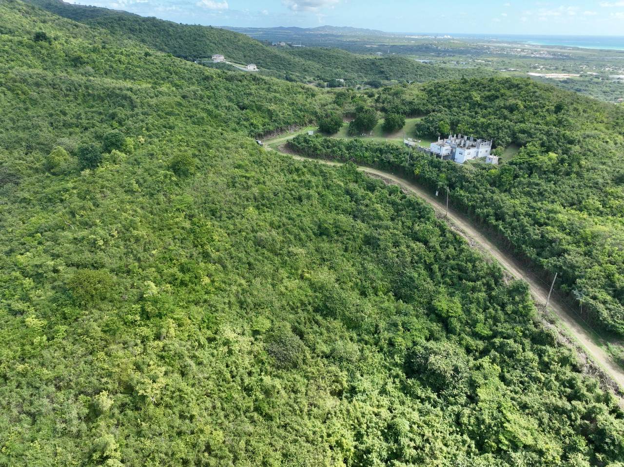 116 Frederikshaab We - Photo 1