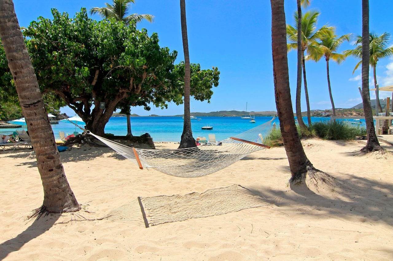 https://bt-photos.global.ssl.fastly.net/stthomas/1280_boomver_1_26-715-2.jpg