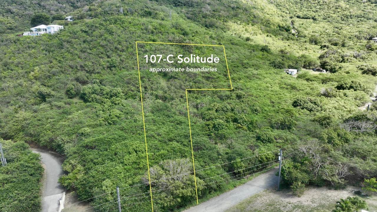 107-C Solitude Eb - Photo 1