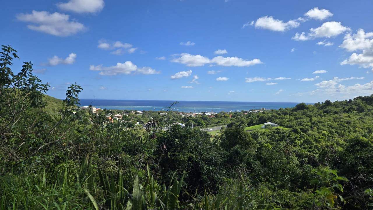 https://bt-photos.global.ssl.fastly.net/stthomas/1280_boomver_1_26-789-2.jpg