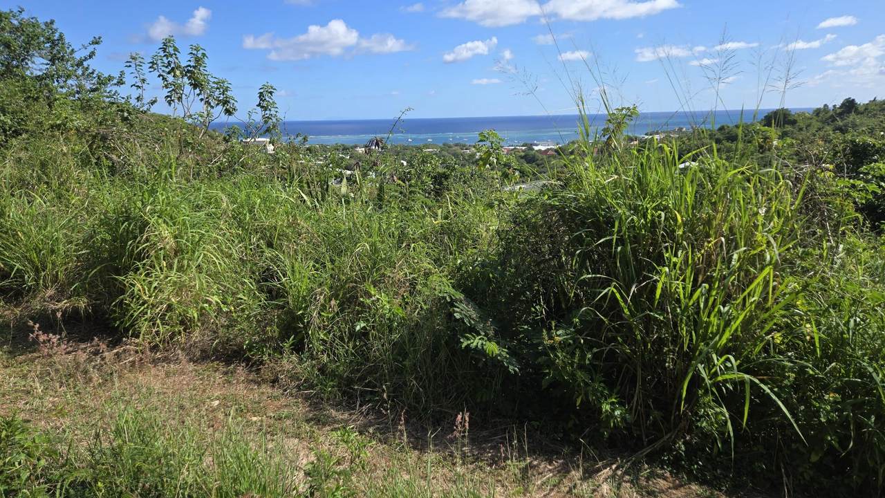 https://bt-photos.global.ssl.fastly.net/stthomas/1280_boomver_1_26-789-2.jpg