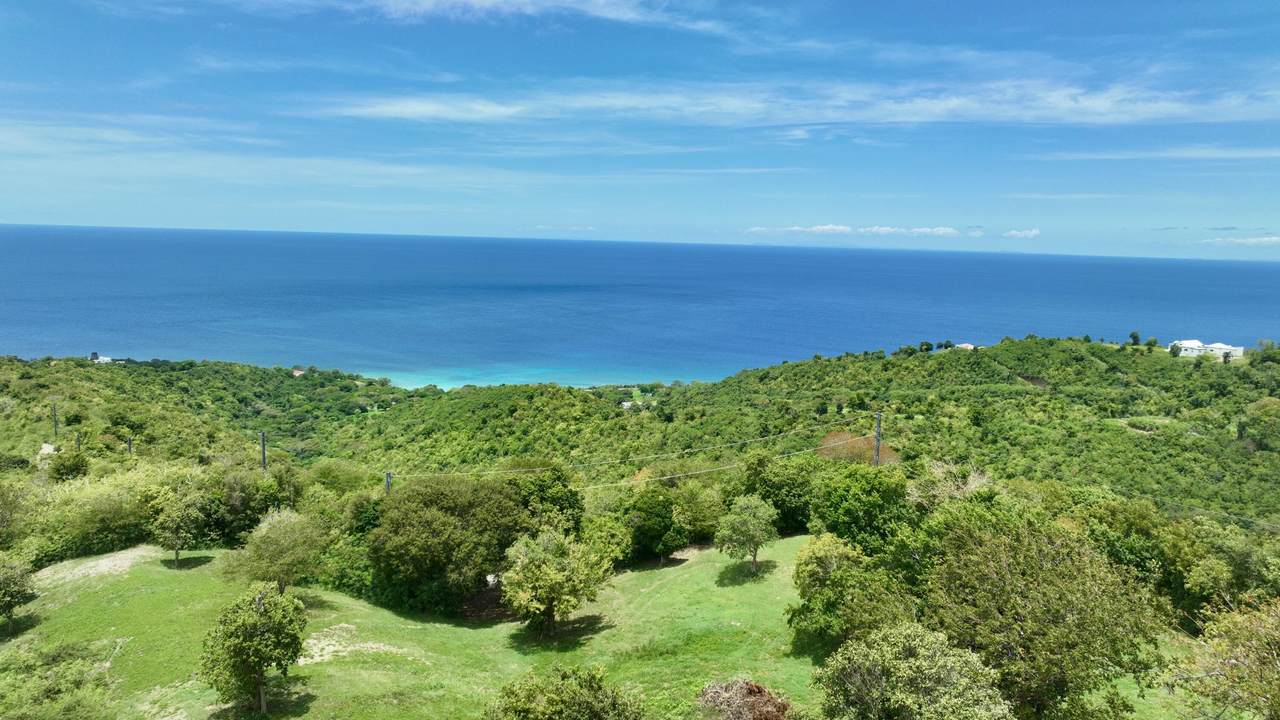 https://bt-photos.global.ssl.fastly.net/stthomas/1280_boomver_1_26-820-2.jpg
