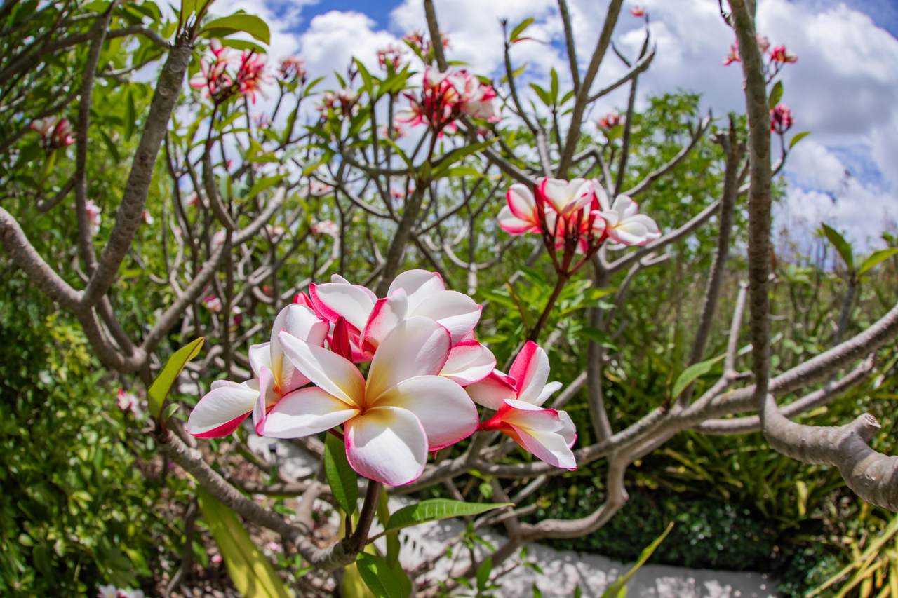 https://bt-photos.global.ssl.fastly.net/stthomas/1280_boomver_1_26-848-2.jpg