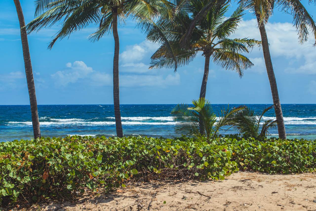 https://bt-photos.global.ssl.fastly.net/stthomas/1280_boomver_1_26-856-2.jpg