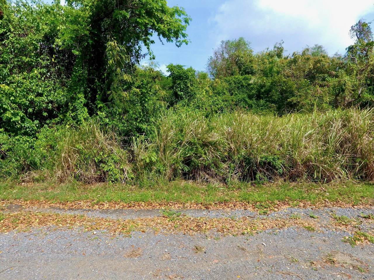 https://bt-photos.global.ssl.fastly.net/stthomas/1280_boomver_1_26-875-2.jpg
