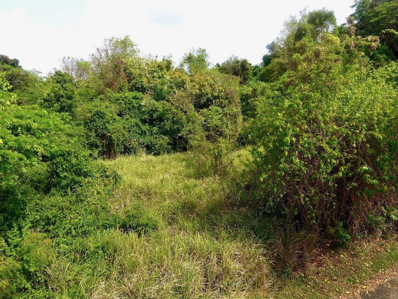 https://bt-photos.global.ssl.fastly.net/stthomas/1280_boomver_1_26-875-2.jpg