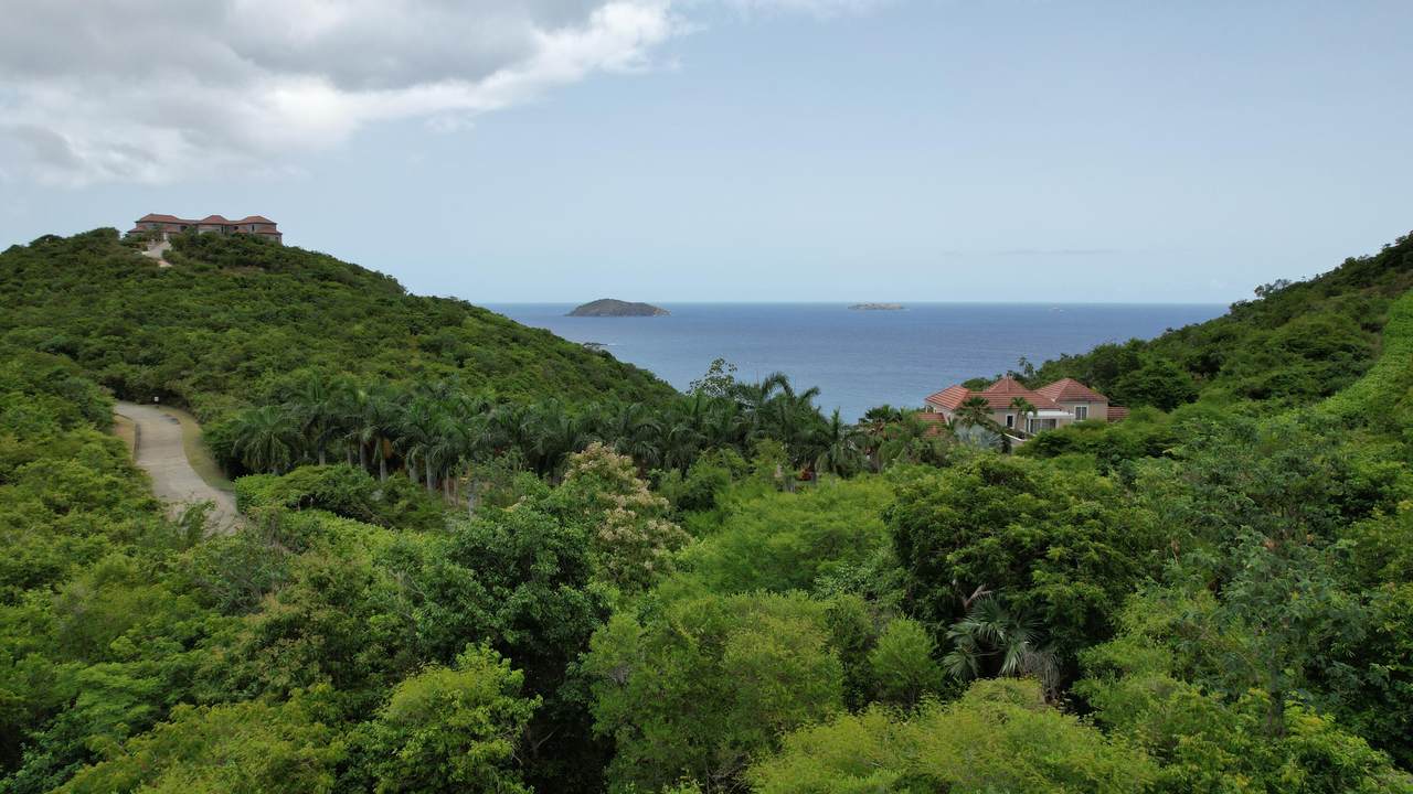 https://bt-photos.global.ssl.fastly.net/stthomas/1280_boomver_1_26-908-2.jpg
