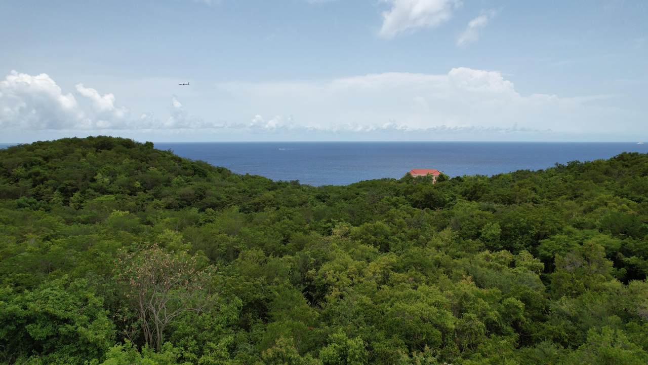 https://bt-photos.global.ssl.fastly.net/stthomas/1280_boomver_1_26-908-2.jpg
