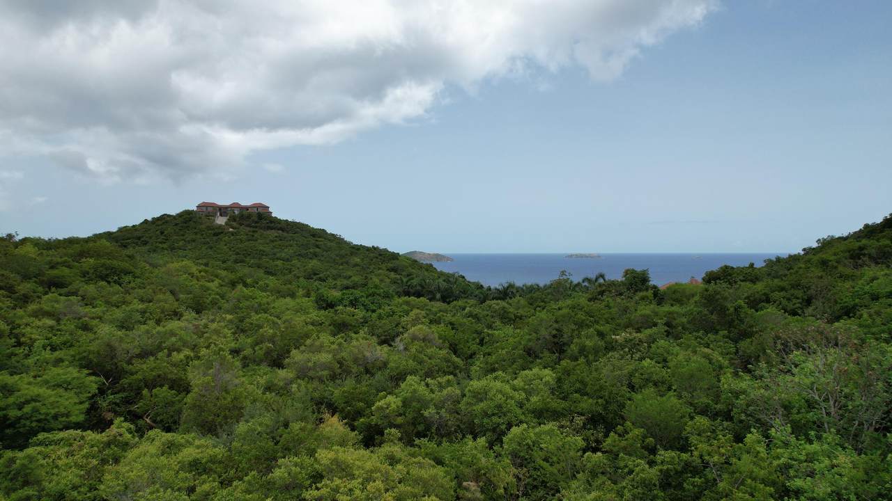https://bt-photos.global.ssl.fastly.net/stthomas/1280_boomver_1_26-908-2.jpg