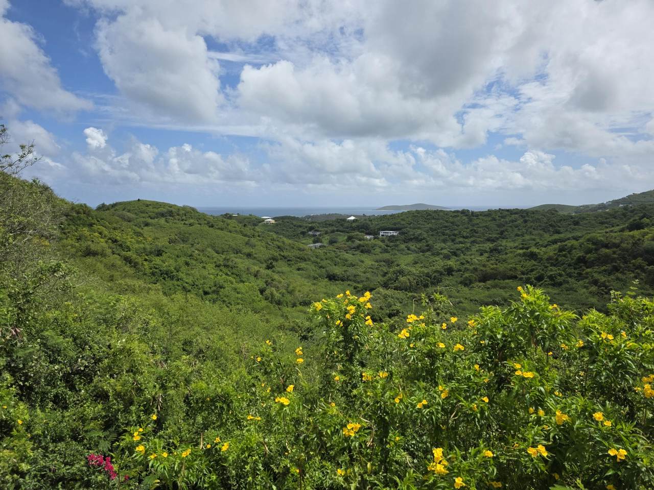 https://bt-photos.global.ssl.fastly.net/stthomas/1280_boomver_1_26-913-2.jpg