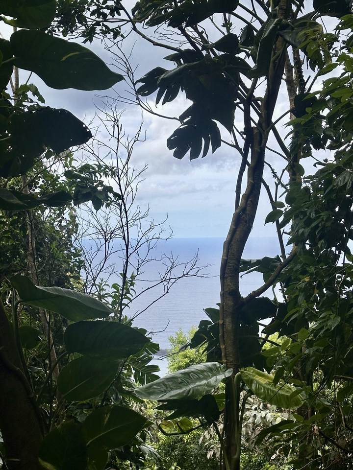 https://bt-photos.global.ssl.fastly.net/stthomas/1280_boomver_1_26-916-2.jpg