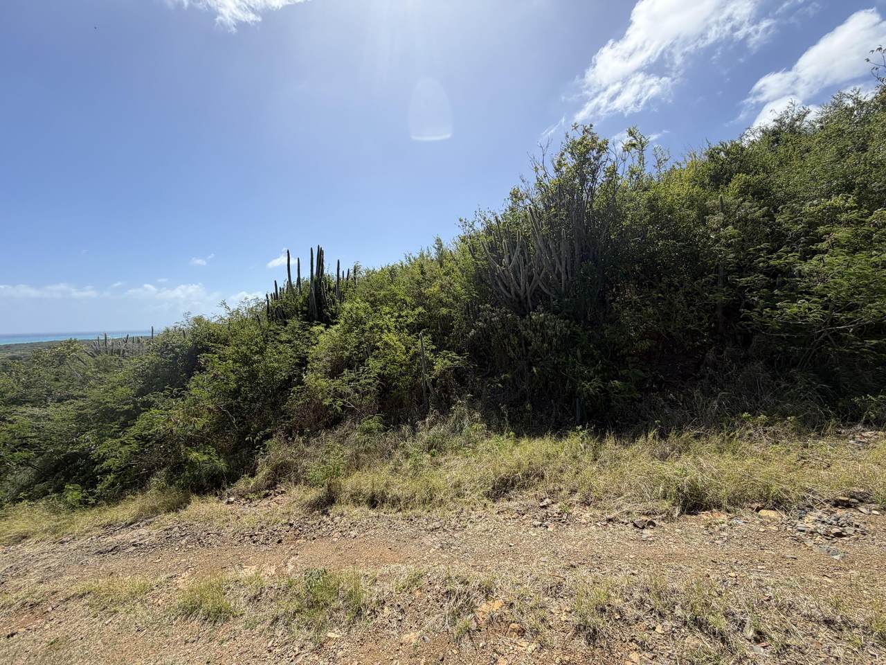 https://bt-photos.global.ssl.fastly.net/stthomas/orig_boomver_1_26-962-2.jpg