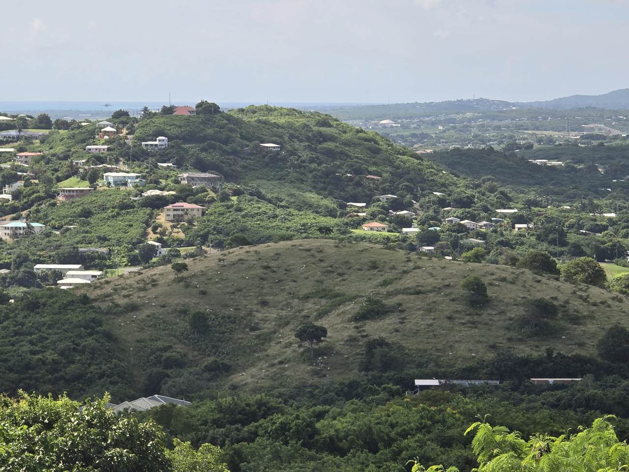 https://bt-photos.global.ssl.fastly.net/stthomas/1280_boomver_1_26-972-2.jpg