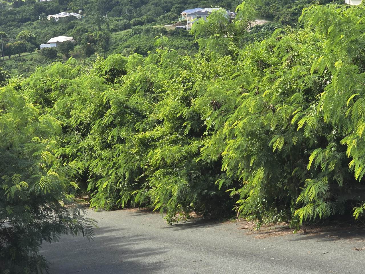 https://bt-photos.global.ssl.fastly.net/stthomas/1280_boomver_1_26-972-2.jpg