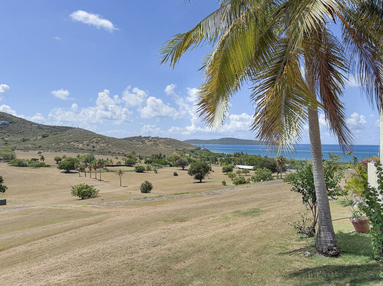 133 Teagues Bay Eb - Photo 1