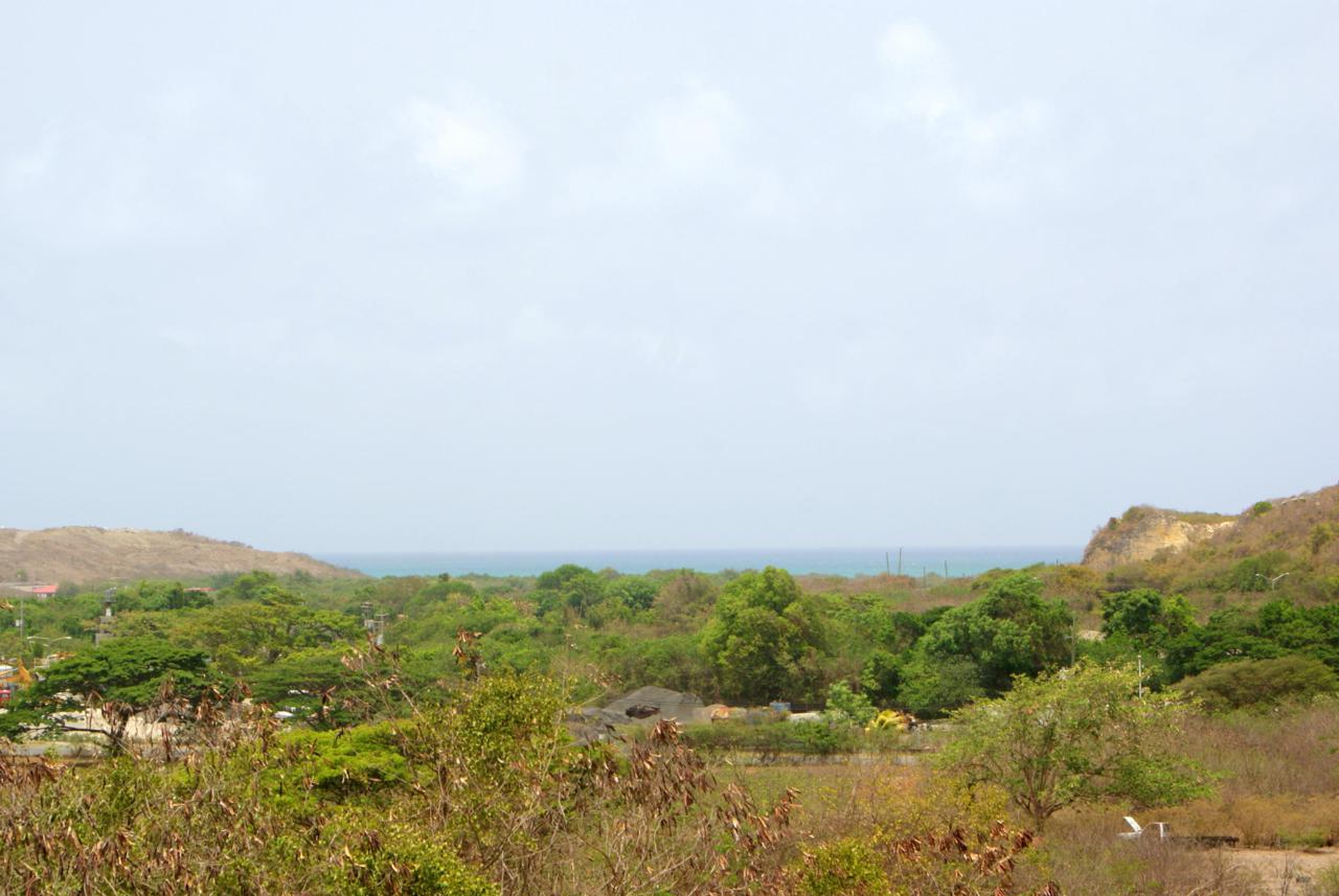 69 V.I. Corp Lands Pr - Photo 1