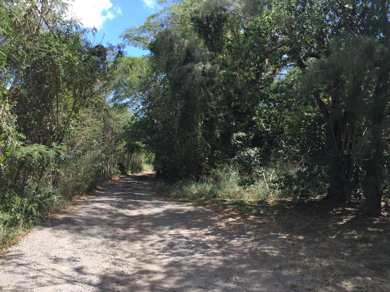 2-A-48 Sion Hill Qu - Photo 1